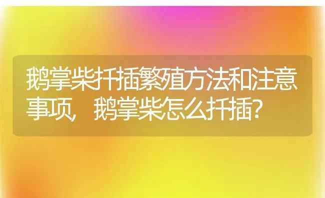 鹅掌柴扦插繁殖方法和注意事项,鹅掌柴怎么扦插？ | 养殖常见问题