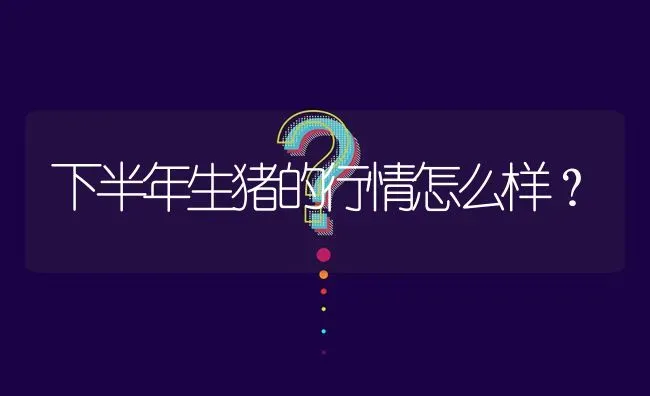 下半年生猪的行情怎么样? | 养殖问题解答