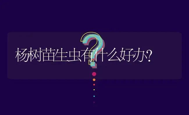 杨树苗生虫有什么好办? | 养殖问题解答
