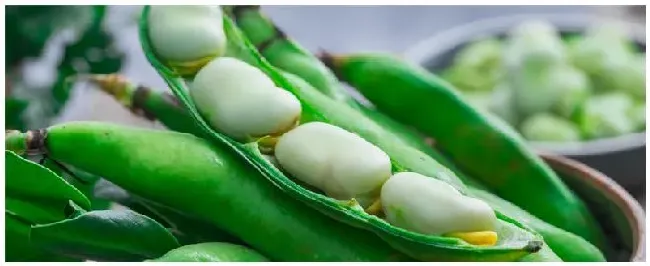 兰花豆的种植方法和时间 | 三农答疑