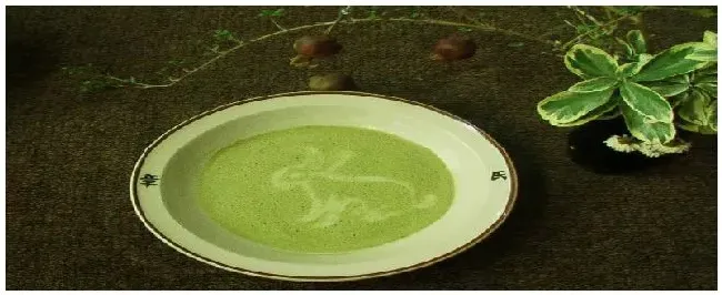 什么是点茶 | 农业常识