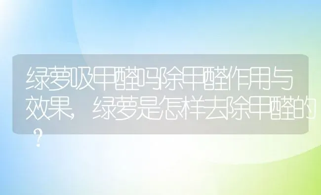 绿萝吸甲醛吗除甲醛作用与效果,绿萝是怎样去除甲醛的？ | 养殖常见问题