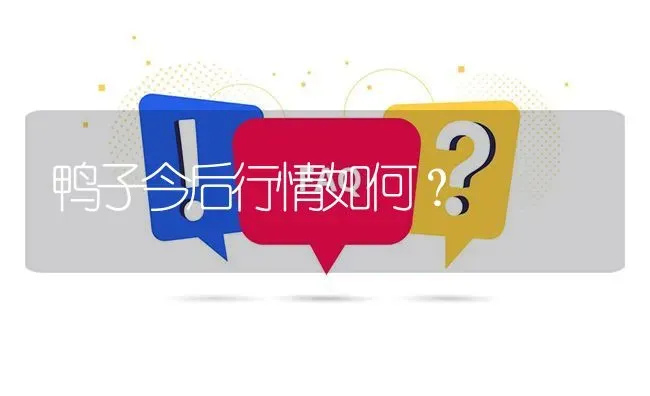 鸭子今后行情如何? | 养殖问题解答