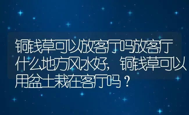 铜钱草可以放客厅吗放客厅什么地方风水好,铜钱草可以用盆土栽在客厅吗？ | 养殖常见问题