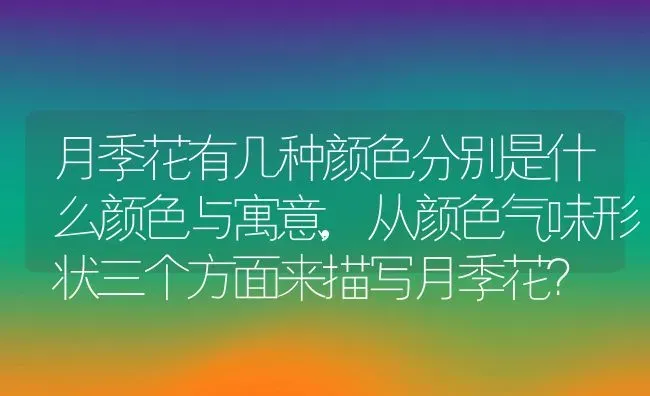 月季花有几种颜色分别是什么颜色与寓意,从颜色气味形状三个方面来描写月季花？ | 养殖常见问题