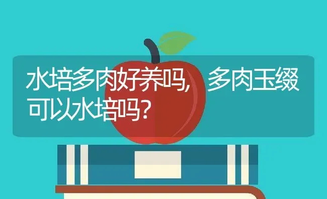 水培多肉好养吗,多肉玉缀可以水培吗？ | 养殖常见问题