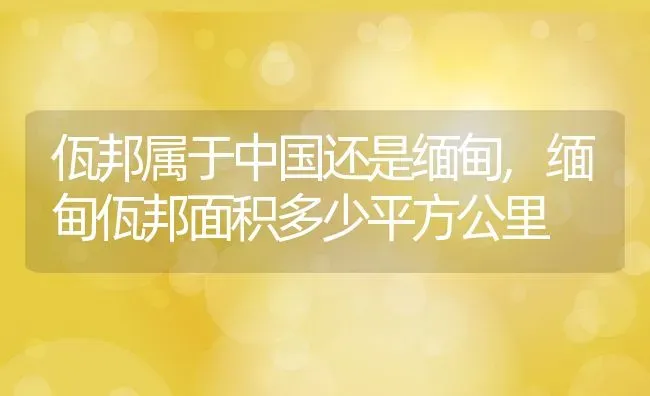 佤邦属于中国还是缅甸,缅甸佤邦面积多少平方公里 | 养殖常见问题