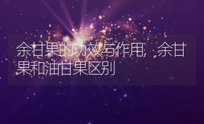 余甘果的功效与作用,余甘果和油甘果区别 | 养殖常见问题