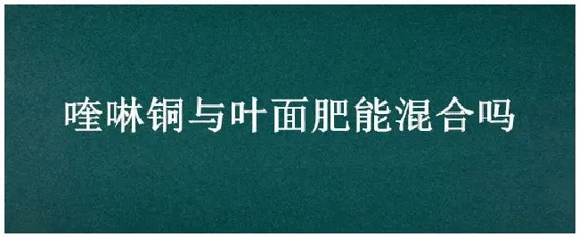 喹啉铜与叶面肥能混合吗 | 三农答疑