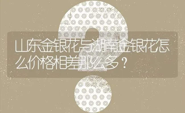 山东金银花与湖南金银花怎么价格相差那么多? | 养殖问题解答