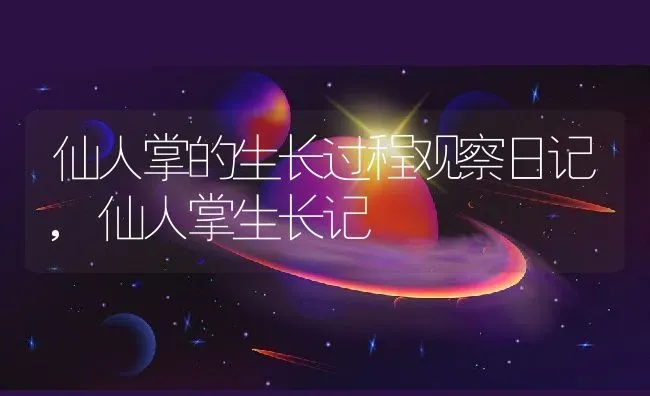 仙人掌的生长过程观察日记,仙人掌生长记 | 养殖常见问题