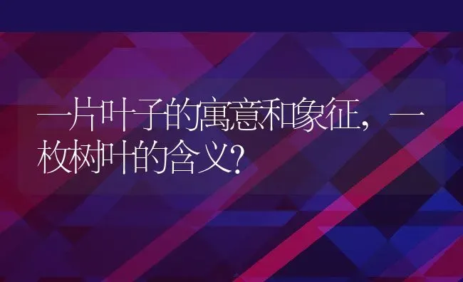 一片叶子的寓意和象征,一枚树叶的含义？ | 养殖常见问题