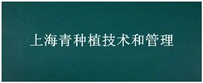 上海青种植技术和管理 | 农业答疑