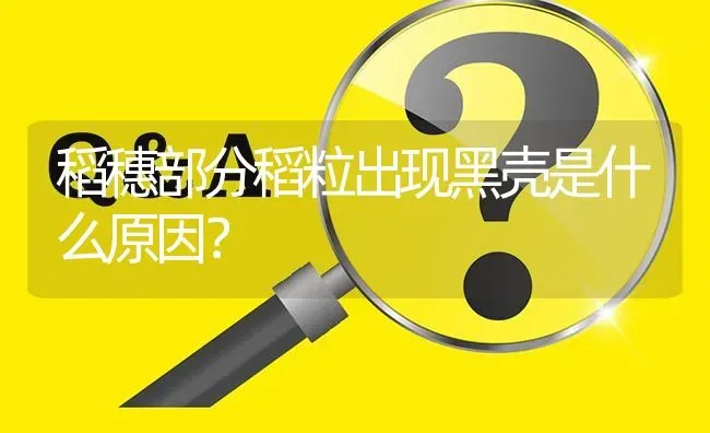 稻穗部分稻粒出现黑壳是什么原因? | 养殖问题解答