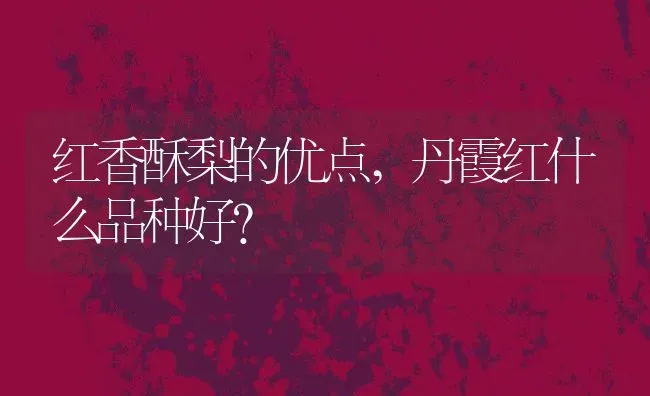 红香酥梨的优点,丹霞红什么品种好？ | 养殖常见问题