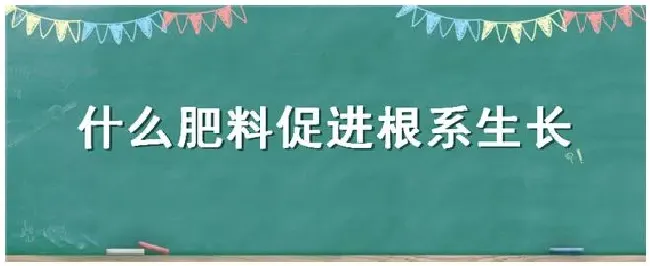 什么肥料促进根系生长 | 农业问题