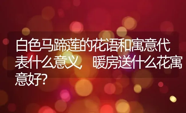 白色马蹄莲的花语和寓意代表什么意义,暖房送什么花寓意好？ | 养殖常见问题