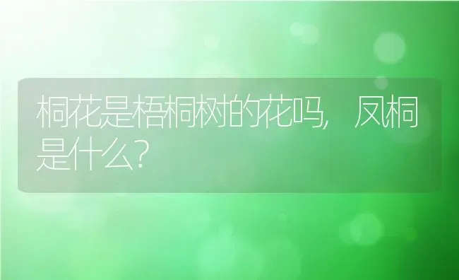 桐花是梧桐树的花吗,凤桐是什么？ | 养殖常见问题