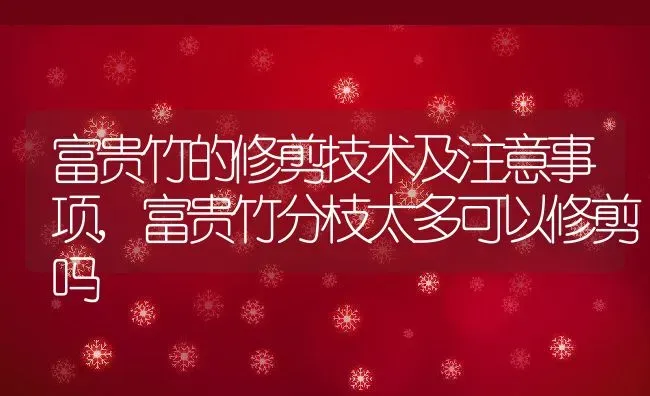 富贵竹的修剪技术及注意事项,富贵竹分枝太多可以修剪吗 | 养殖常见问题