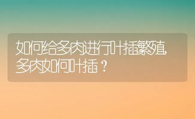 如何给多肉进行叶插繁殖,多肉如何叶插？ | 养殖常见问题