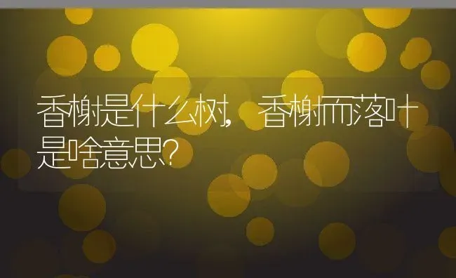 香榭是什么树,香榭而落叶是啥意思？ | 养殖常见问题