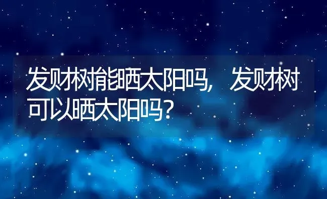 发财树能晒太阳吗,发财树可以晒太阳吗？ | 养殖常见问题