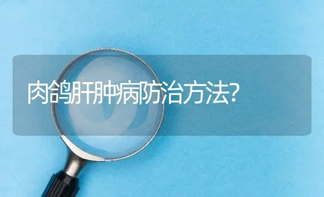 肉鸽肝肿病防治方法? | 养殖问题解答