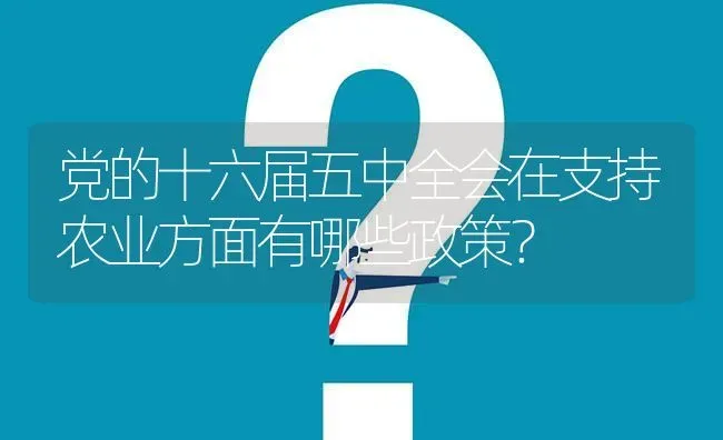 党的十六届五中全会在支持农业方面有哪些政策? | 养殖问题解答