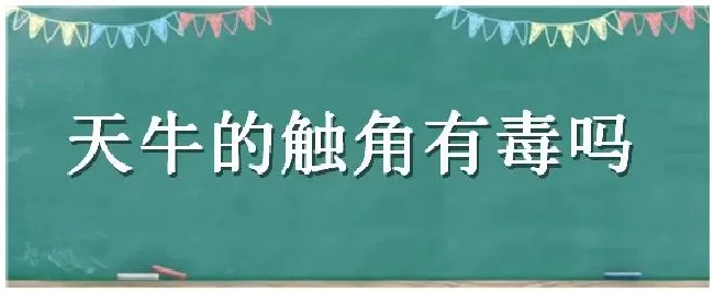 天牛的触角有毒吗 | 农业问题