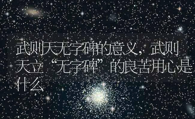武则天无字碑的意义,武则天立“无字碑”的良苦用心是什么 | 养殖常见问题