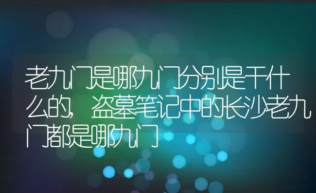 老九门是哪九门分别是干什么的,盗墓笔记中的长沙老九门都是哪九门 | 养殖常见问题