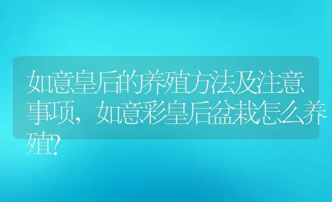 如意皇后的养殖方法及注意事项,如意彩皇后盆栽怎么养殖？ | 养殖常见问题