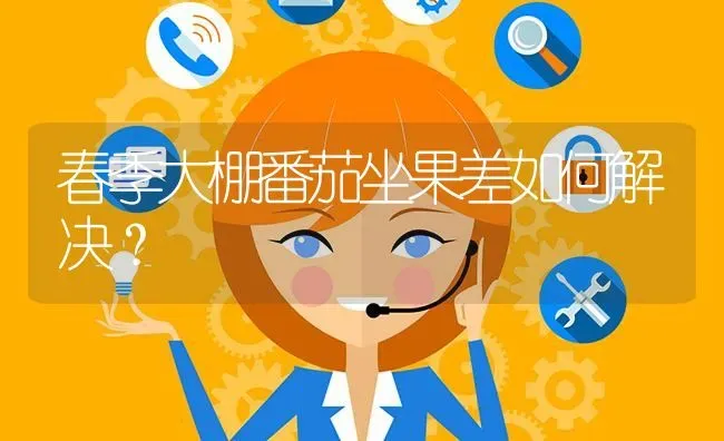 春季大棚番茄坐果差如何解决? | 养殖问题解答