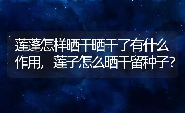 莲蓬怎样晒干晒干了有什么作用,莲子怎么晒干留种子？ | 养殖常见问题