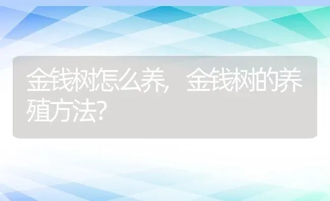 松针土的制作,正宗松针土配方？ | 养殖常见问题