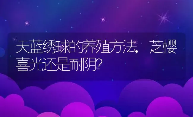 天蓝绣球的养殖方法,芝樱喜光还是耐阴？ | 养殖常见问题