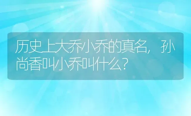 历史上大乔小乔的真名,孙尚香叫小乔叫什么？ | 养殖常见问题