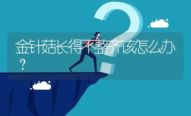金针菇长得不整齐该怎么办? | 养殖问题解答