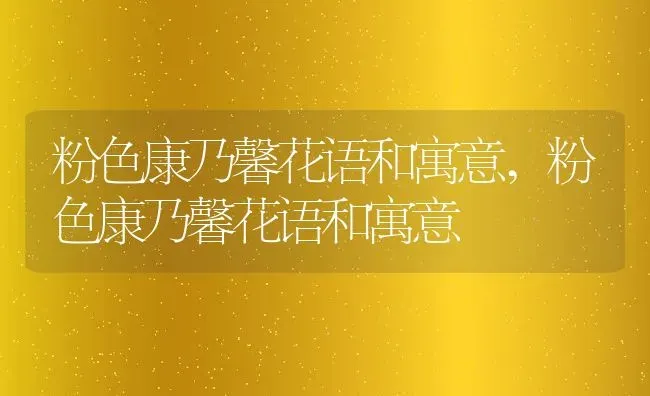 粉色康乃馨花语和寓意,粉色康乃馨花语和寓意 | 养殖常见问题