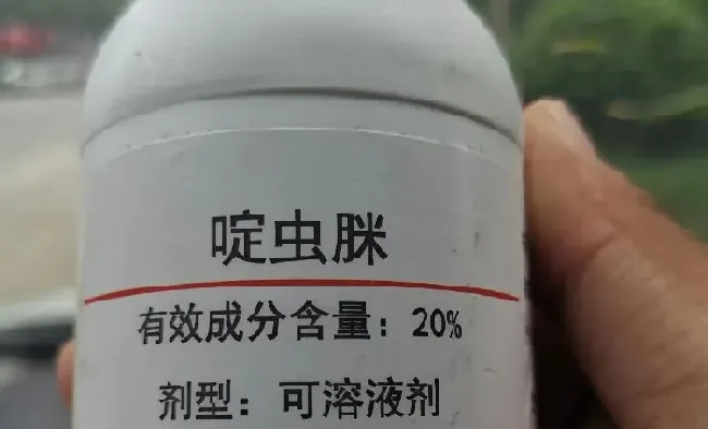 植物常识问题|吡虫啉可以和啶虫脒一起使用吗（吡虫啉好还是啶虫脒好）