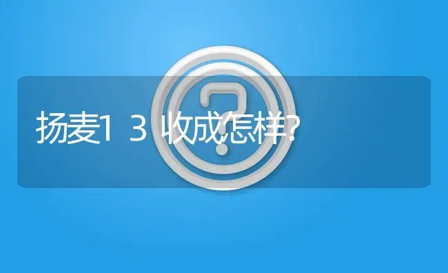 扬麦13收成怎样? | 养殖问题解答