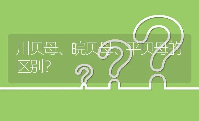 川贝母、皖贝母、平贝母的区别? | 养殖问题解答