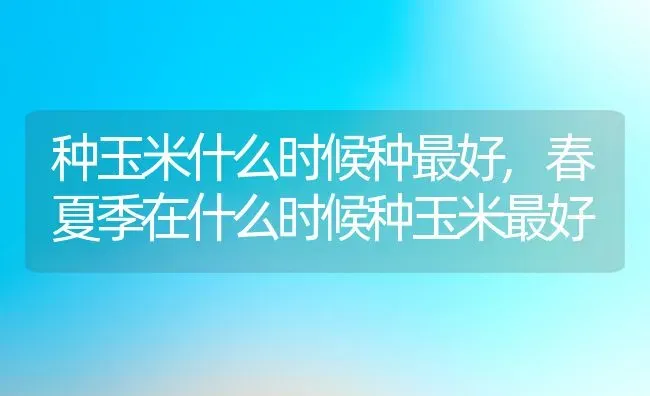 种玉米什么时候种最好,春夏季在什么时候种玉米最好 | 养殖常见问题