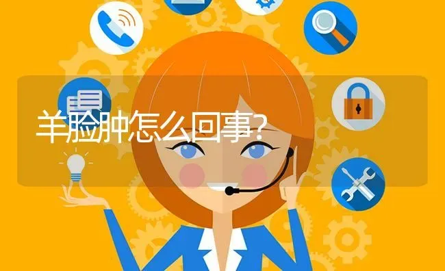 羊脸肿怎么回事? | 养殖问题解答