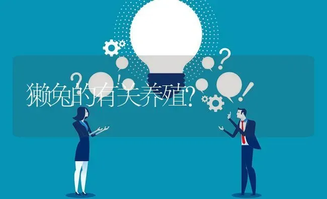 獭兔的有关养殖? | 养殖问题解答