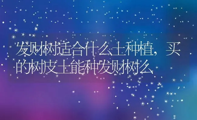 发财树适合什么土种植,买的树皮土能种发财树么 | 养殖常见问题