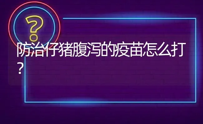 防治仔猪腹泻的疫苗怎么打? | 养殖问题解答
