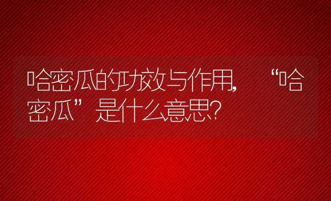 哈密瓜的功效与作用,“哈密瓜”是什么意思？ | 养殖常见问题