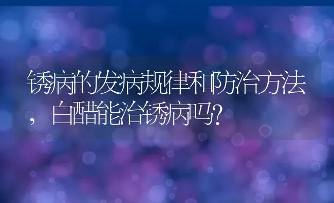 锈病的发病规律和防治方法,白醋能治锈病吗？ | 养殖常见问题