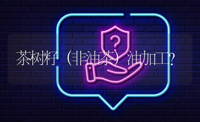 茶树籽(非油茶)油加工? | 养殖问题解答